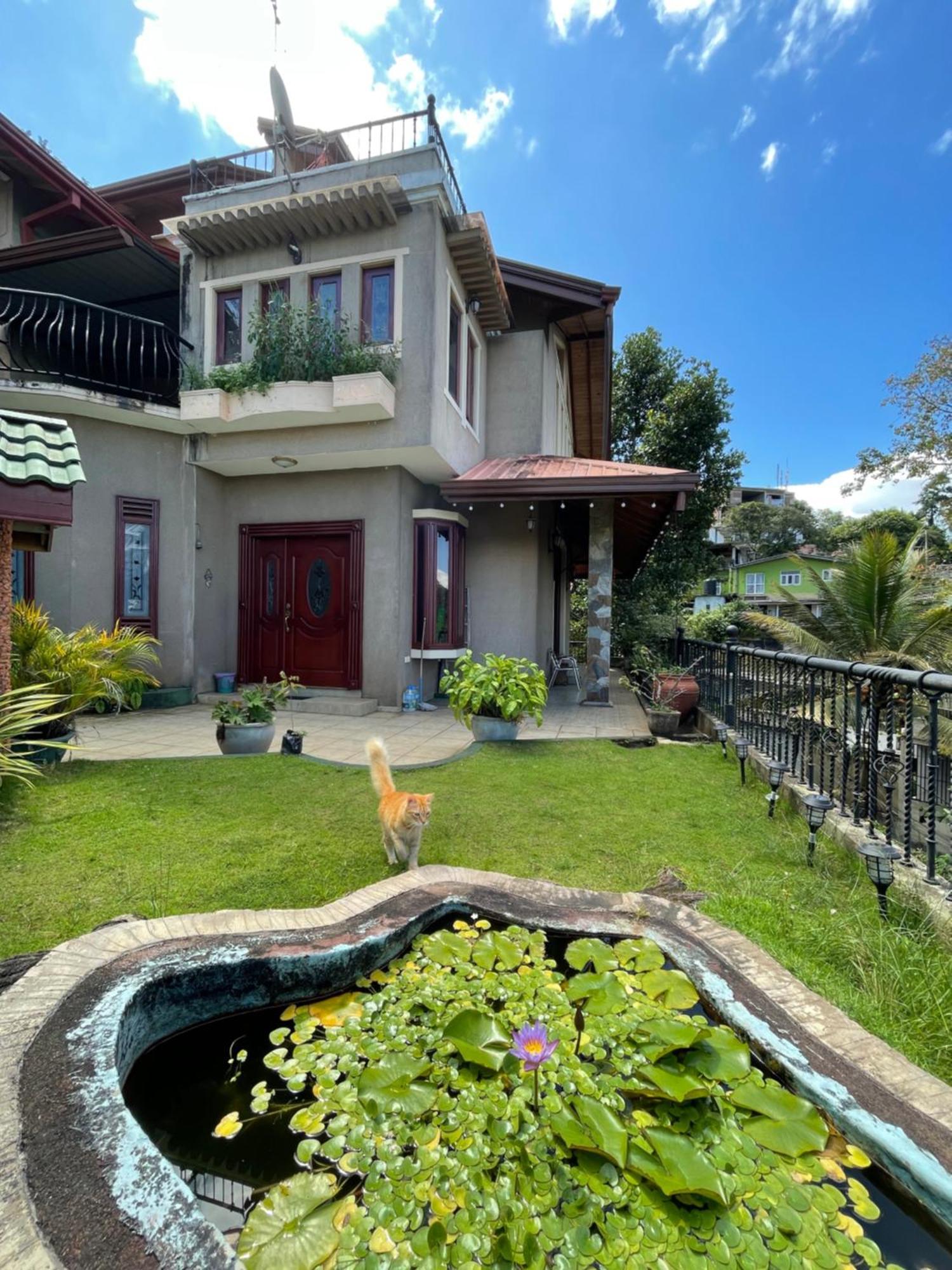 中国蒲公英民宿dandelion Guest House Villa With Mount View แคนดี้ ภายนอก รูปภาพ