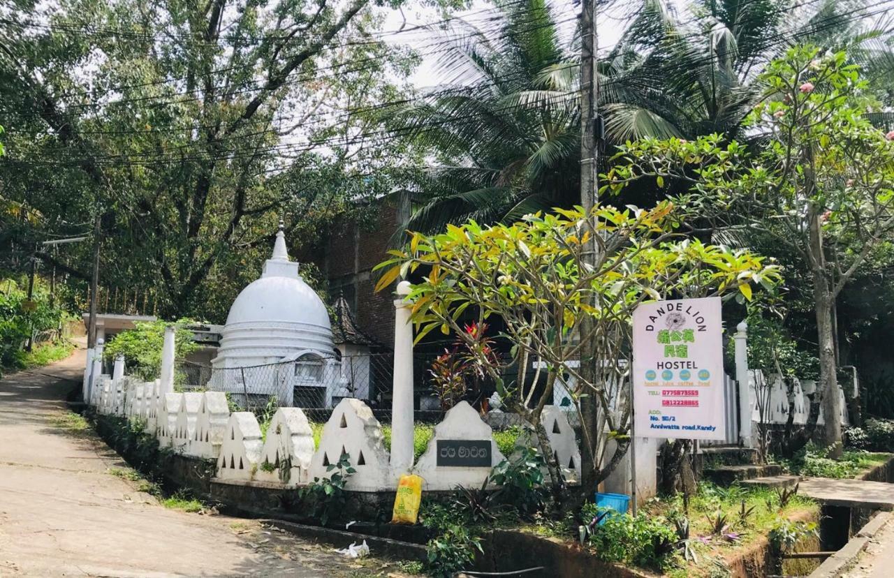 中国蒲公英民宿dandelion Guest House Villa With Mount View แคนดี้ ภายนอก รูปภาพ
